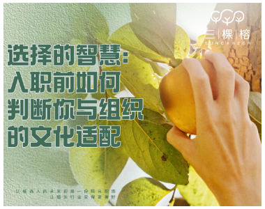 选择的智慧：入职前如何判断你与组织的文化适配