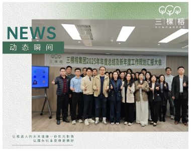 三棵榕集团2025年年度总结及新年度工作规划汇报大会