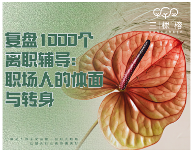 复盘1000个离职辅导：职场人的体面与转身
