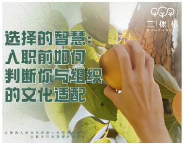选择的智慧：入职前如何判断你与组织的文化适配