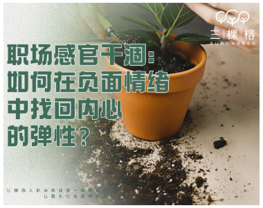 职场感官干涸：如何在负面情绪中找回内心的弹性？