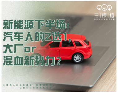 新能源下半场：汽车人的2选1，大厂or混血新势力？