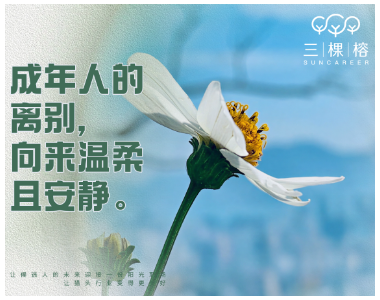 成年人的离别，向来温柔且安静。